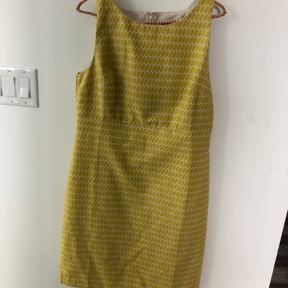 Ann Taylor A-Line dress